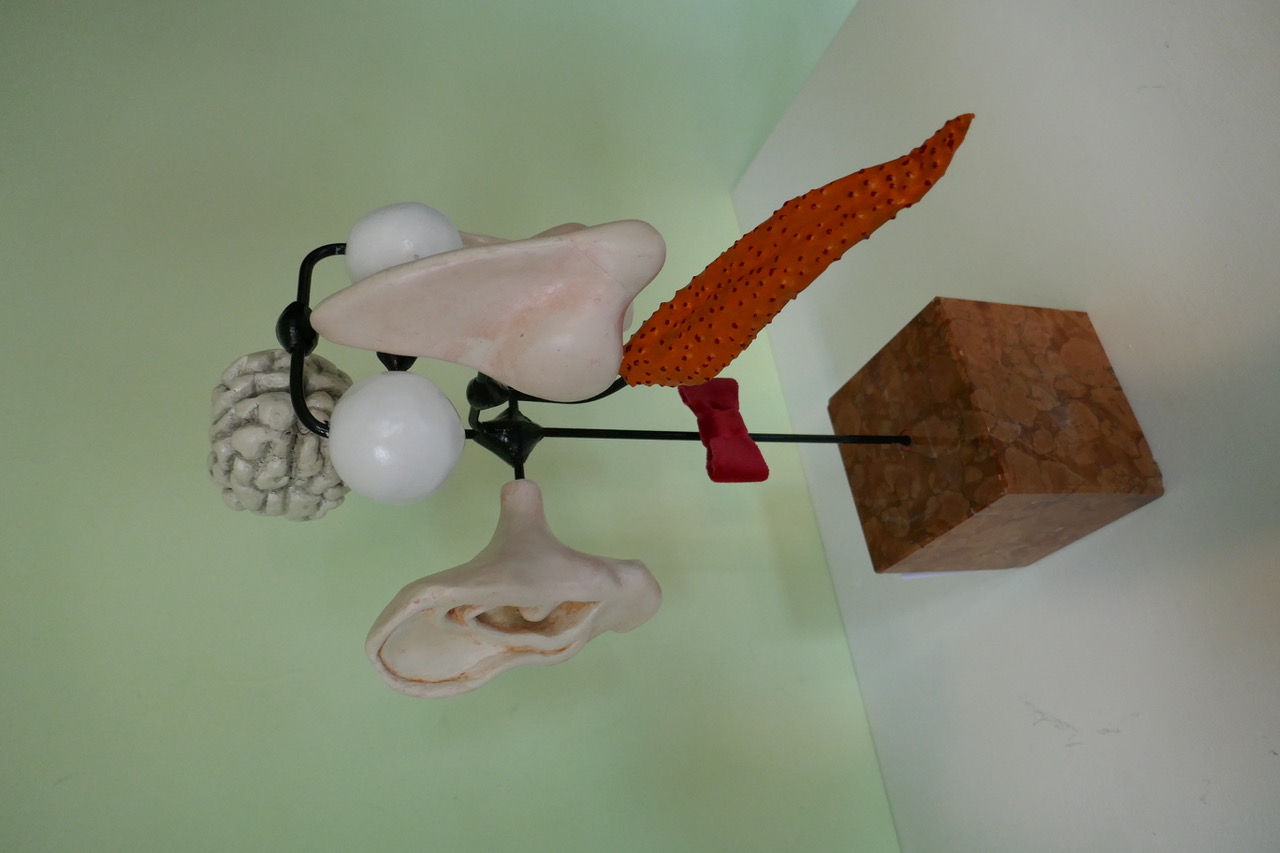 De otorhinolaryngoloog De otorhinolaryngoloog
